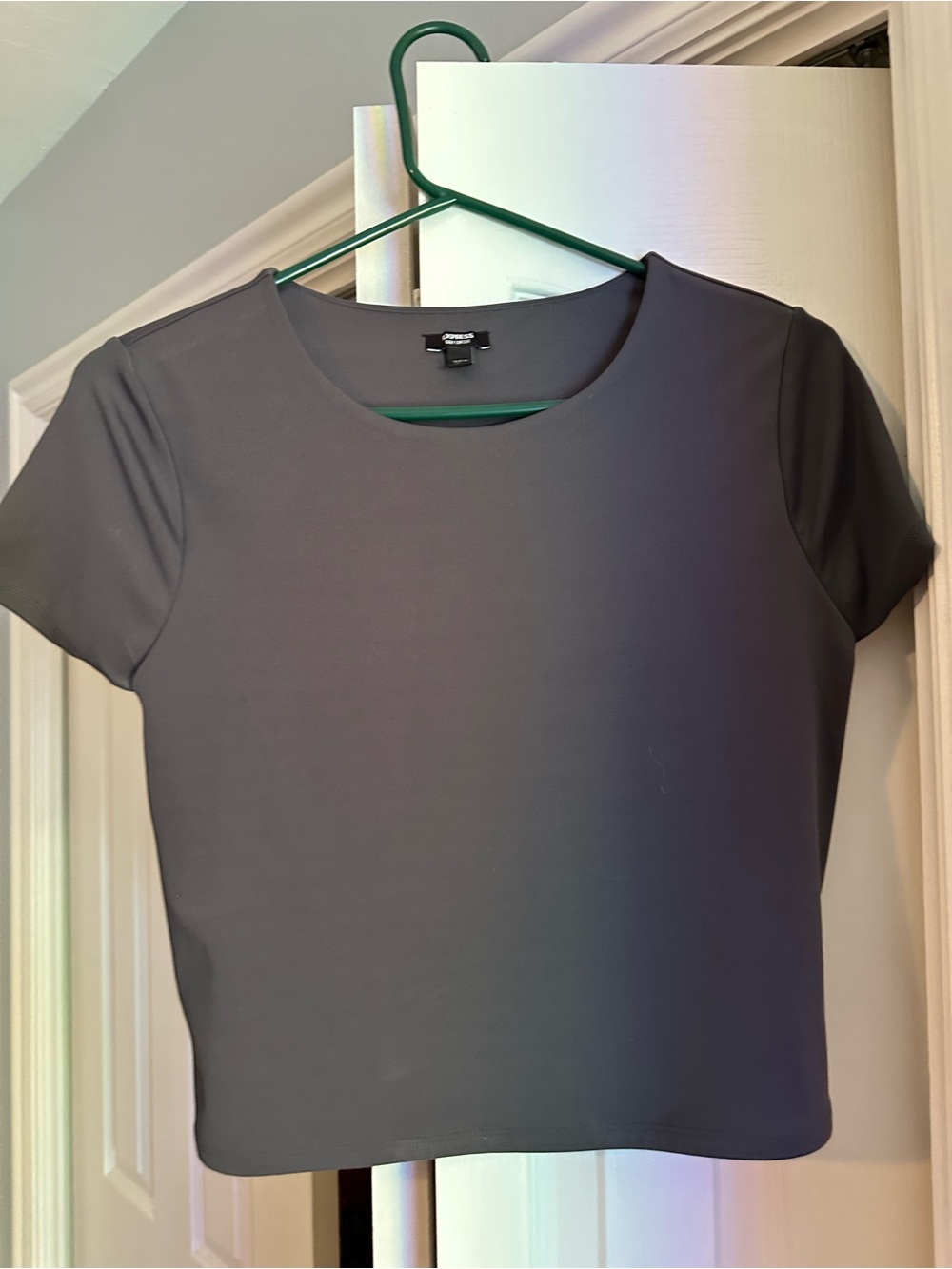 Express Classic Gray Short Sleeve fitted top